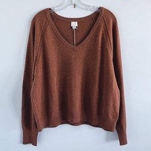 NWT a new day V Neck Sweater L